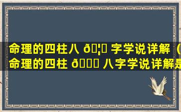 命理的四柱八 🦍 字学说详解（命理的四柱 🐟 八字学说详解是什么）